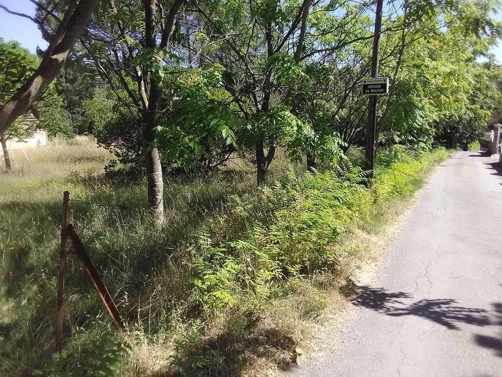 jardin paysagisme et aménagement exterieur
