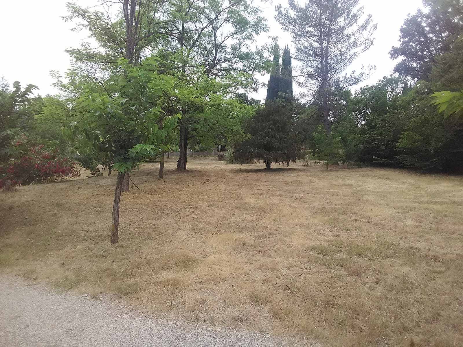 jardin paysagisme et aménagement exterieur