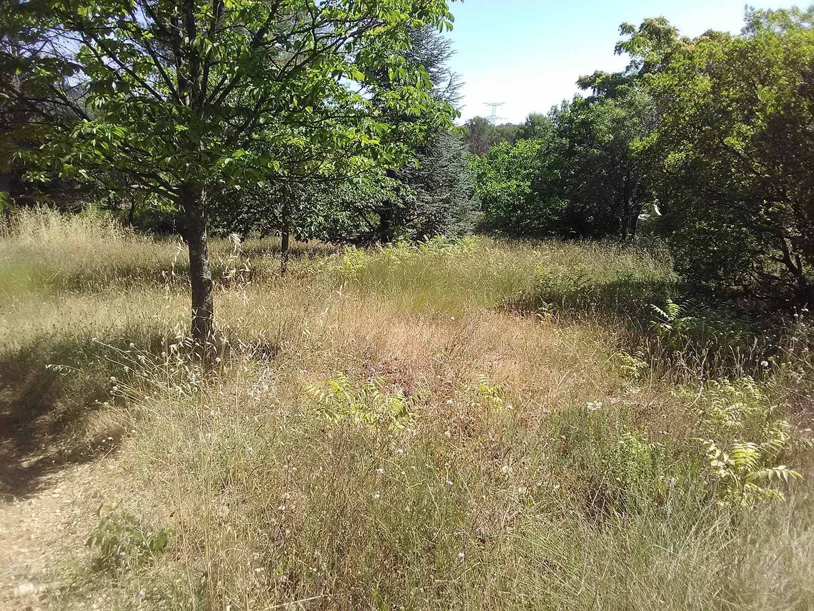 jardin paysagisme et aménagement exterieur