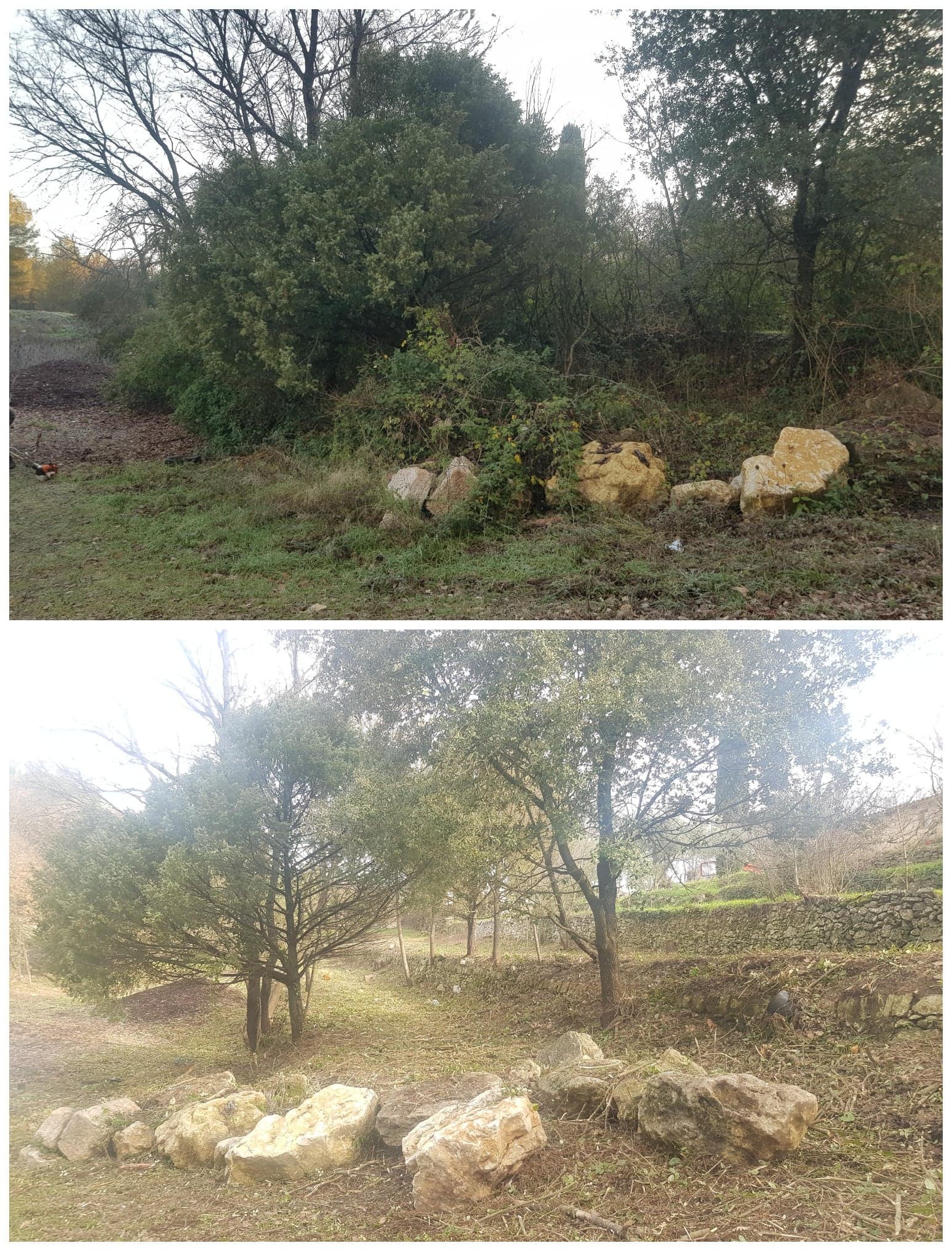 jardin paysagisme et aménagement exterieur