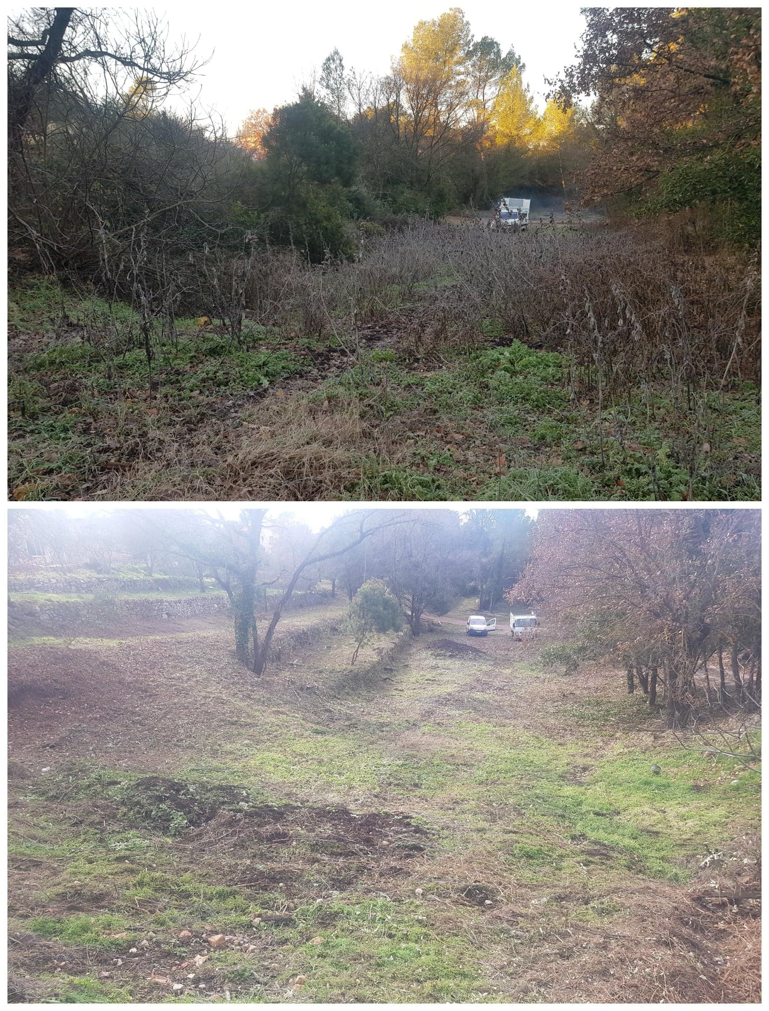 jardin paysagisme et aménagement exterieur