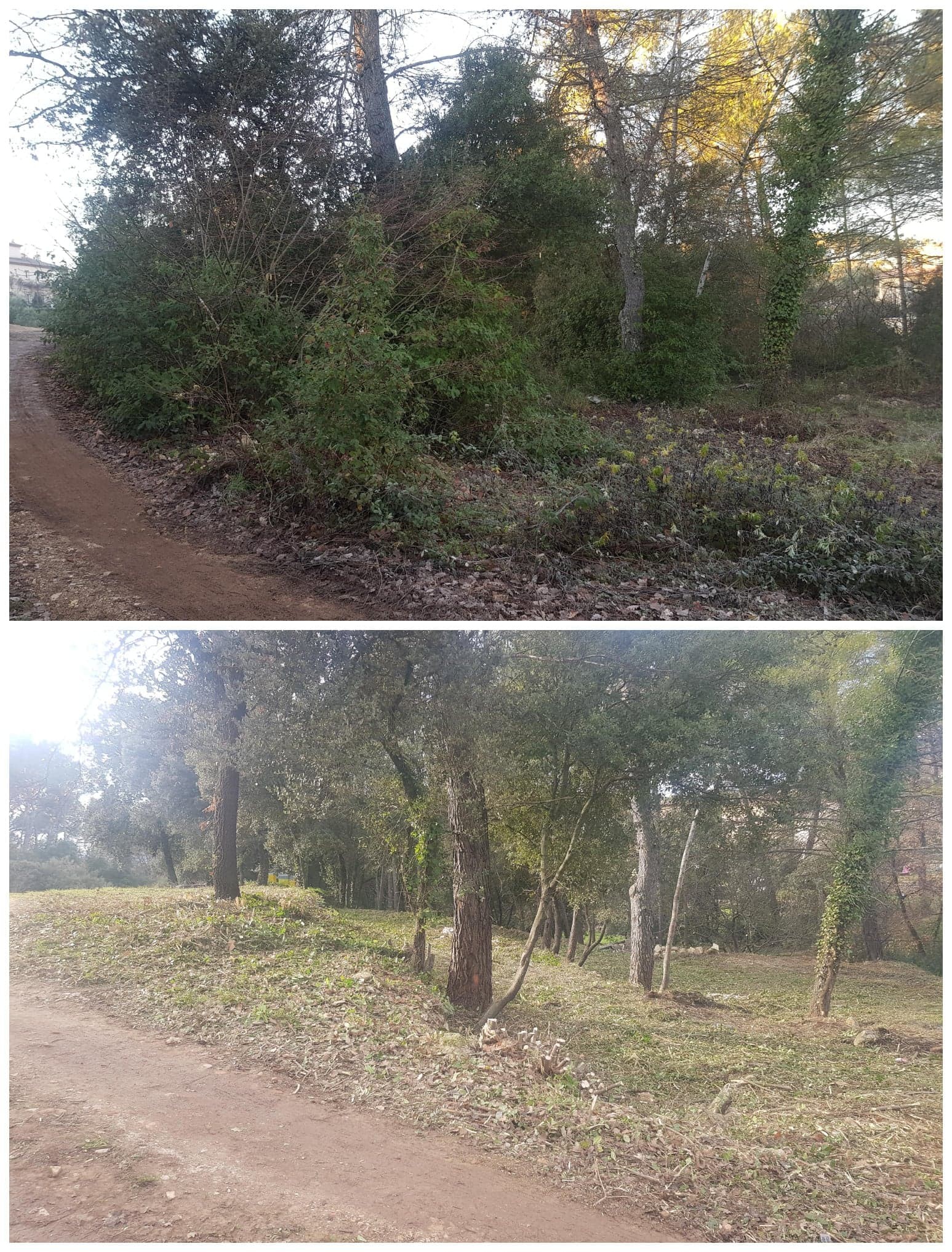 jardin paysagisme et aménagement exterieur