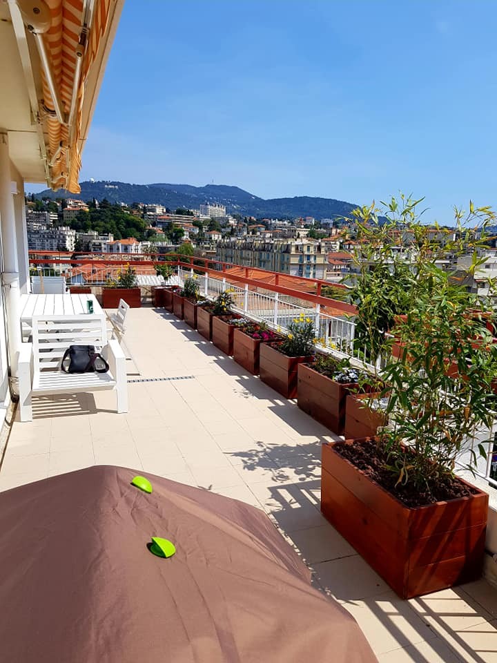 jardin paysagisme et aménagement exterieur