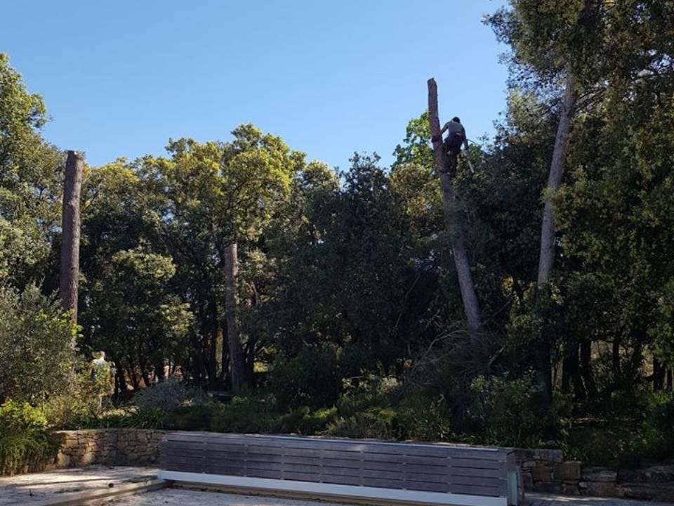 jardin paysagisme et aménagement exterieur