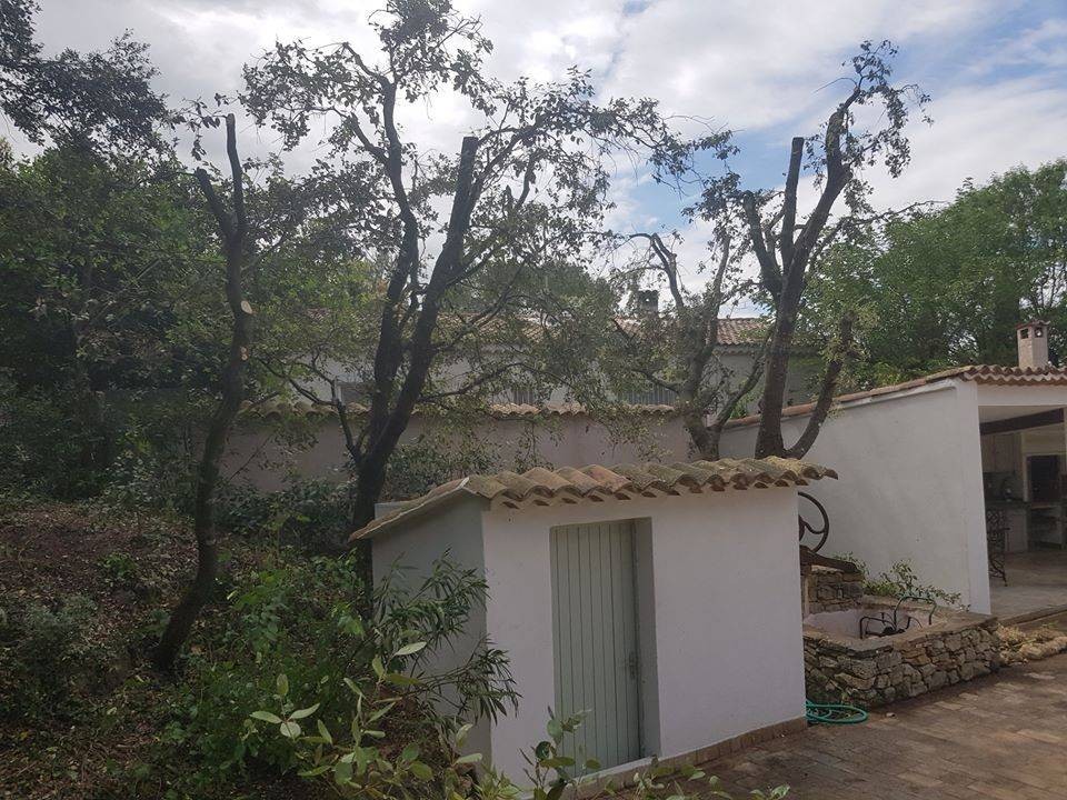 jardin paysagisme et aménagement exterieur