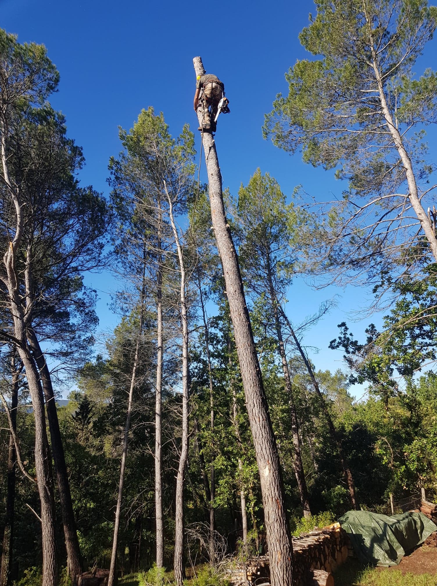 jardin paysagisme et aménagement exterieur