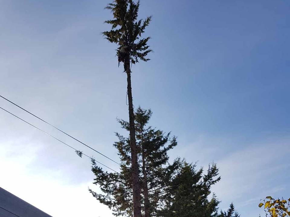 jardin paysagisme et aménagement exterieur