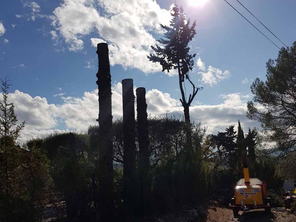 jardin paysagisme et aménagement exterieur