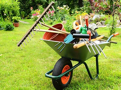 Contrat de maintenance jardin