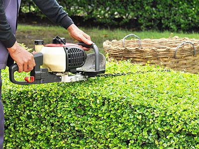 Entretien espaces verts