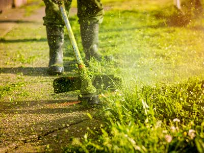 Travaux de débroussaillage